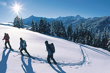 Winter holidays in the Zillertal Valley, Tyrol